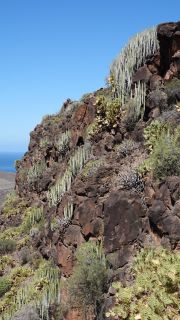 2022-04-GranCan-Agaete-Trekking_view-PM-NN-038.JPG